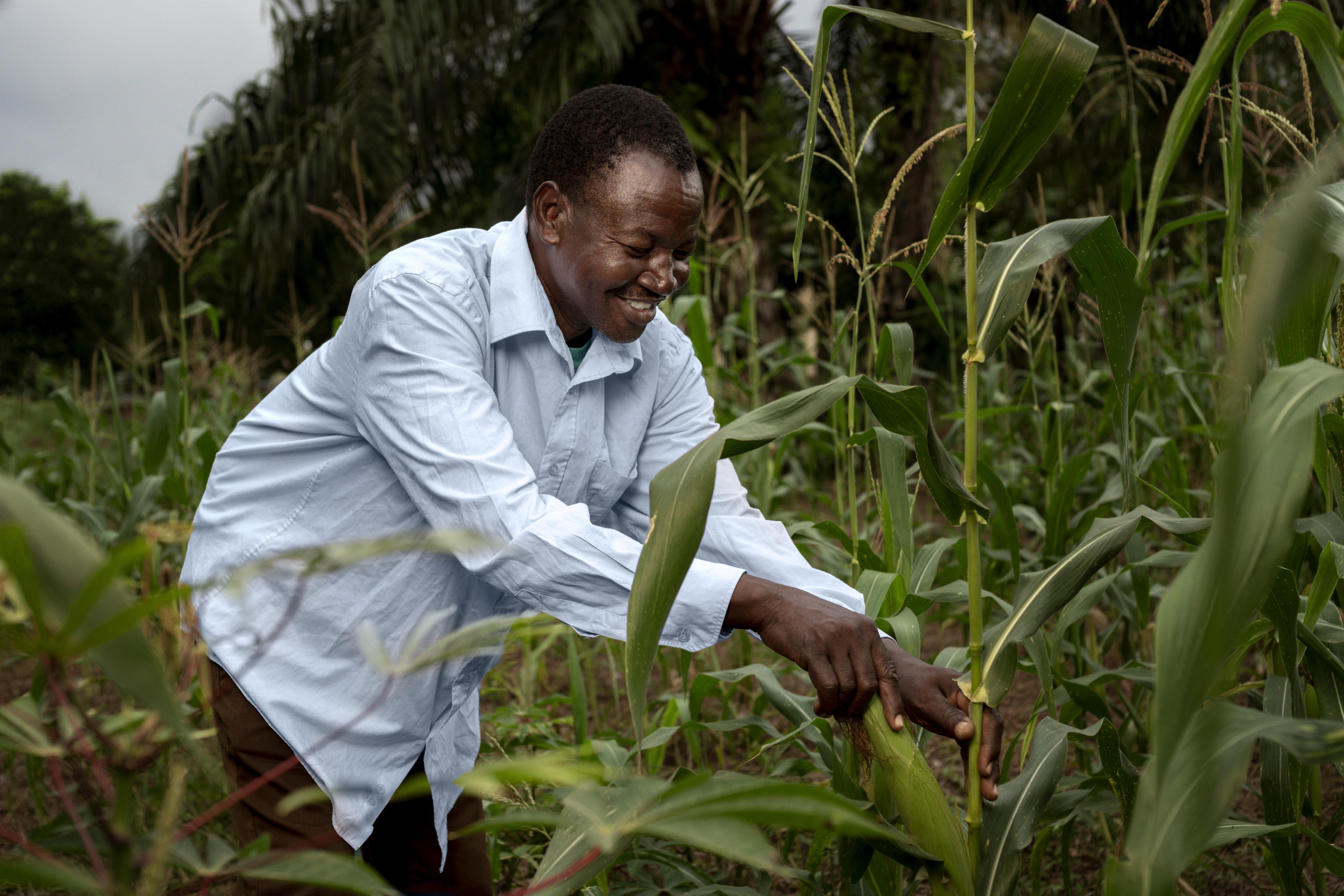 Farmer in field